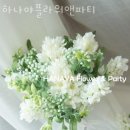 하나야플라워