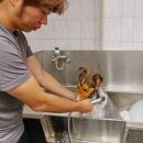 이지스힐 이미지