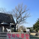 의재목장 네이버블로그