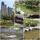 성내7교 주변 이미지