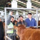 진주축산 이미지