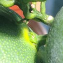 남희농장 이미지