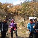 바람이 불어, 초록색 모자 이미지