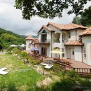 숲속개울가 이미지