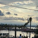 숲실의 집 이미지