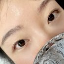 평화빌 | 평택 송탄 속눈썹 맛집 &#39;첫눈애뷰티&#39; 반려견과 함께하는 특별한 힐링 후기✨