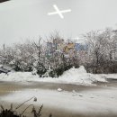 오성막국수 이미지