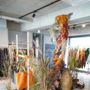 샵스케줄 공원 이미지