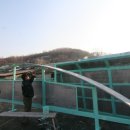 포이즈컴퍼니
