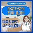 서신전주내과의원 | 전주 마운자로 주사 효과와 장점/ 살 빠지는 주사 실제 후기 전 알아야 할 정보