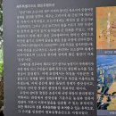 수망리 산마장 잣성 이미지