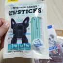 덴탈성아 네이버블로그
