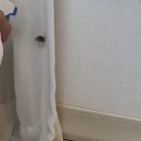 영진축산 | 대왕 바퀴벌레 없애는법 퇴치제 진심 이거 쓰세요 (내돈내산, 광고x)