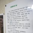 길섶나그네휴양펜션 이미지