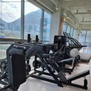 헬스 맛 짐 이미지