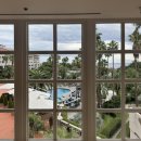 중문관광로 | 제주신라호텔 디럭스 가든뷰 호캉스 수영장 숙박 후기