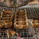 황소장어 이미지