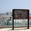 바다목장 이미지