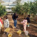 구립 새솔어린이집 이미지