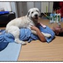 산새랑 게스트하우스 이미지