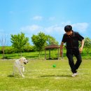 BG독케어센터 이미지