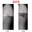 펭귄체형관리센타