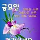 8월.20일.금요일 간추린 뉴스 이미지