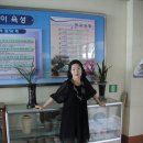 설성초교 이미지