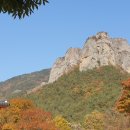 안동황우마을 이미지