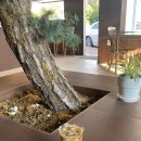 커피도큐먼트 이미지