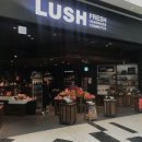 [고객의 감동사례] 제품을 넘어! 기업에 대한 감동사례 / LUSH 신세계백화점강남점 / 교육학과 15012051 임진철 이미지