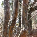 남해-253 이미지