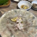 산호횟집도량점 | 구미 도량동맛집 스끼다시 잘 나오는 산호횟집 도량점 내돈내산
