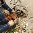 마인계터로 이미지