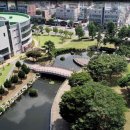 군산대학교 이미지