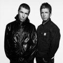 오아시스 이미지