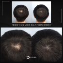 경기도 수원시 팔달구 권광로175번길 이미지