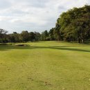 사파이어 골프 이미지