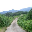 광주동초등학교충효분교장 이미지