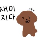 아이몽 애견 유치원 이미지