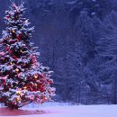 사랑과 기쁨 이미지