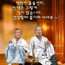 어느 노부부의 아름다운 이야기 이미지