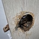 WR(인천광역시 서구)-[원당대로840번길]-하-3 | 인천 문손잡이교체 녹슨욕실문고리