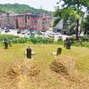 안산김씨 사재감정공파 묘역 이미지