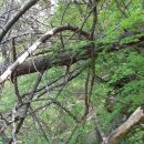 용화1리 이미지