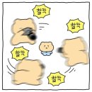 스튜디오모키