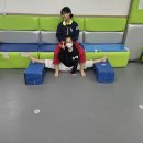 한국체대 꿈나무 태권도장 이미지