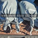 주영건재상사