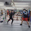 엘리트 복싱 이미지