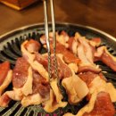 낙동생오리 이미지